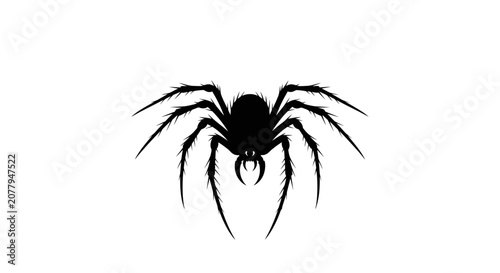Foto Creepy Black Spider Silhouette, Isolated White Background