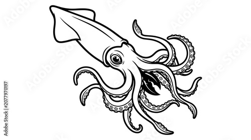Detailed illustration of a squid with tentacles 1.
