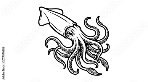 Detailed Illustration of a Squid with Tentacles.