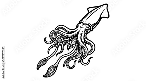 Detailed illustration of a squid with tentacles 2.