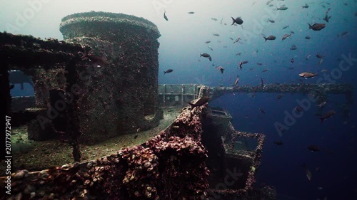 Fish Surrounding the Upper Superstructure of the Sunken USS Oriskany Aircraft Carrier