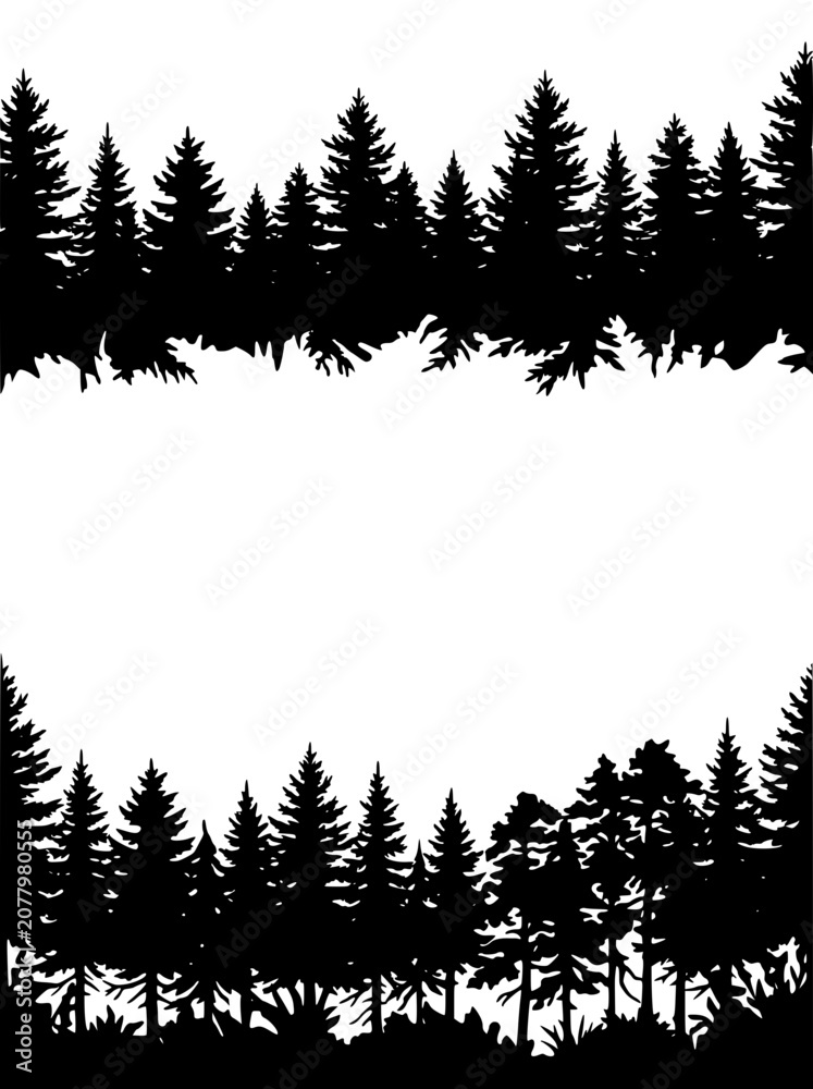 Fototapeta premium Black Pine Forest Tree Silhouette Border with Central White Space