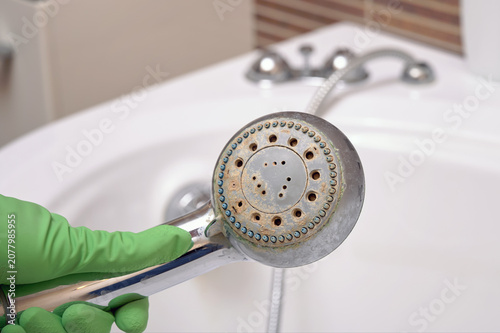 Εκτύπωση καμβά Limescale buildup in a dirty shower head