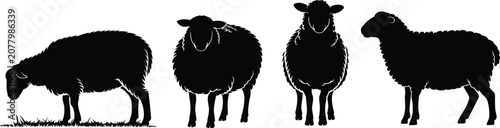 фотографія Four Black Silhouette Sheep Posed Against White Background With Grass Detail ani