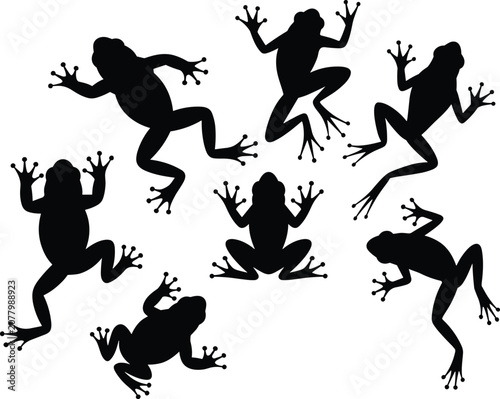Fotografía Six Black Frog Silhouettes in Dynamic Poses on White Background frogs amphibian