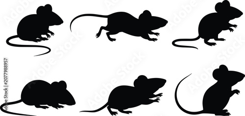 Foto Six Black Mouse Silhouettes in Different Poses on White Background mice animal