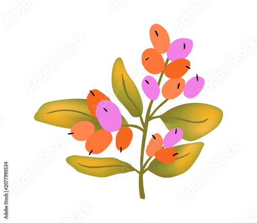Tropical acai or goji berries isolated on white background. Vector isolated illustration