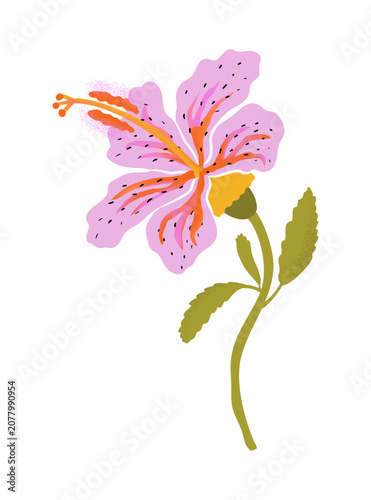Tiger lily illustration in modern kawaii style isolated on background. Vector art design for postcard, sticker and cover.