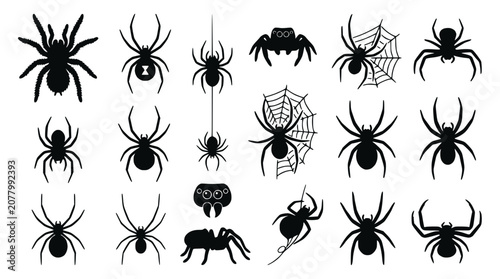 Spider Silhouettes Collection: Various Spiders and Webs, Halloween Icons