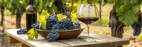 Red Wine Bottle Glass and Fresh Grapes on Wooden Table in Sunny Vineyard