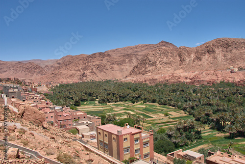 The lush green palm grove of the Tinghir oasis stretches out before the village of Ait-Boujane in Morocco.