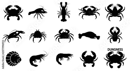 Photos Edible crustaceans and seafood shell icon set.