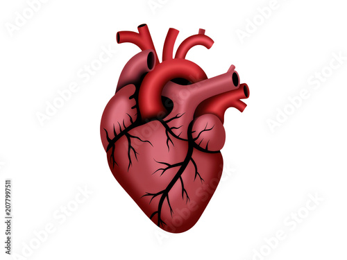 Red human heart organ illustration