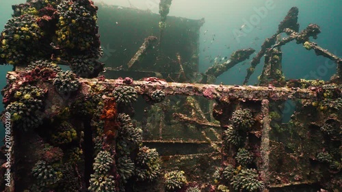 Coral Growth on Deteriorating Metal Structure of Sunken USS Oriskany Aircraft Carrier