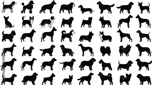 Tableau sur toile Dog breeds silhouette set vector illustration, purebred domestic puppies, pet ca