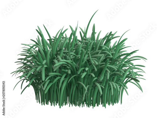 Small green grass bush isolated on a plain background