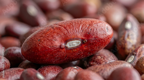 Kidney beans, red kidney beans, rajma, common beans, Phaseolus vulgaris, legumes, pulses, dry beans, organic kidney beans, raw kidney beans, healthy food, macro food photography, hdr food wallpapers.