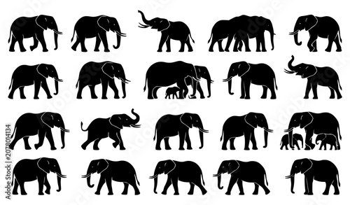 Canvas Print African Elephant Silhouette Collection in Different Standing Walking and Posing