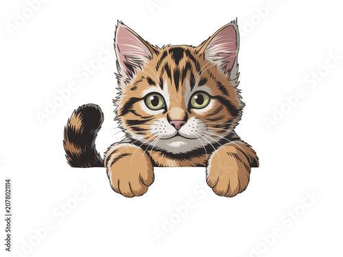 Cute tabby cat peeking over a ledge
