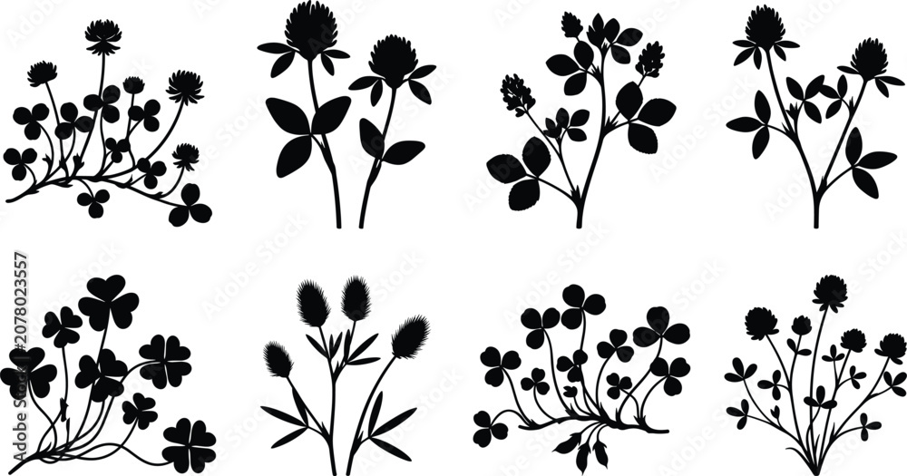 Fototapeta premium Wildflower and Clover Silhouette Collection with Botanical Meadow Plants Vector Illustration Set
