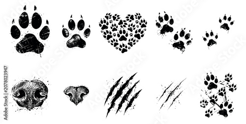 Grunge pet paw prints and scratches vector collection