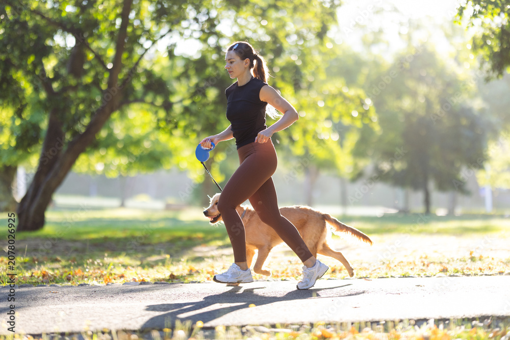 Obraz premium Woman jogging with a golden retriever dog on a sunny day in a park, surrounded by trees and green grass, wearing athletic clothing and sneakers