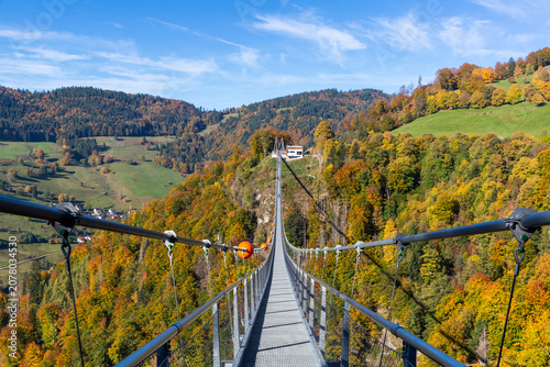 Autumn view of the Blackforestline Suspension Bridge, Germany