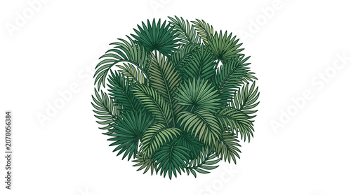 Tropical Palm Leaves Circle Arrangement, Lush Greenery Botanical Design
