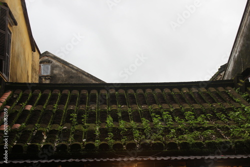 Ancient weathered tile roof covered in green moss with old houses under grey skies.