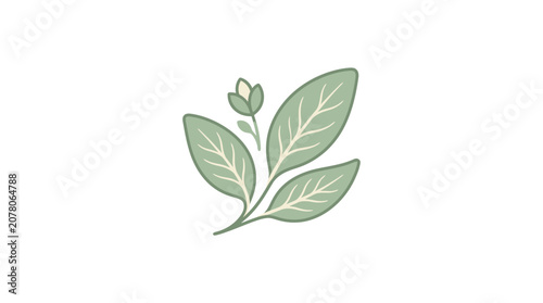 Tableau sur toile Delicate green plant sprout with a bud on a white background, minimalist botanic