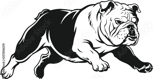 Fotografie Bulldog Running Black and White: A powerful bulldog in mid-stride, depicted in a stark black and white graphic style, conveying strength and determination