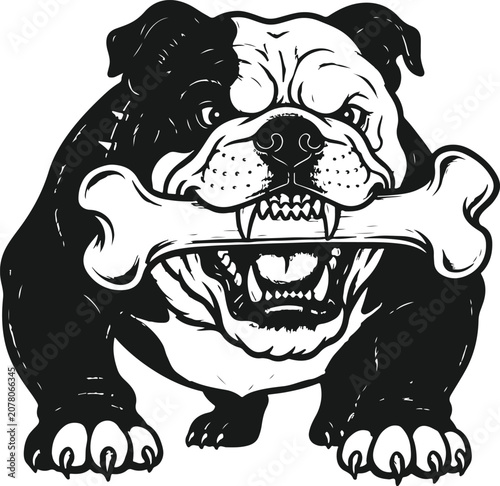 Obraz na płótnie Tough Bulldog with Bone: A fierce-looking bulldog with a clenched jaw holds a large bone, showcasing its strength and protective nature
