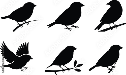 Tableau sur toile Six black silhouette illustrations of small birds on branches and in flight on w