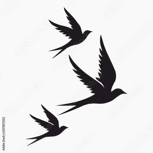 set of birds