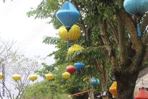 Colorful silk lanterns hanging from branches of tree in ancient town of vietnam.