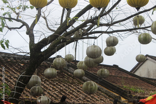 Collection of hanging paper lanterns decorating tree outside ancient town house.