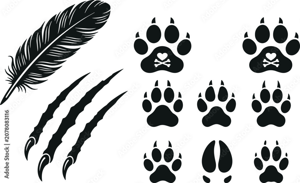 Fototapeta premium A creative collection of vector illustrations featuring a detailed feather, sharp claw marks, and various distinct animal paw prints for wildlife design projects.