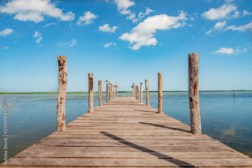 Fototapeta premium Wooden pier with birds