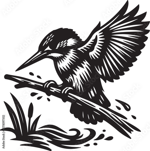 Kingfisher Bird Perching Above Splashing Water
