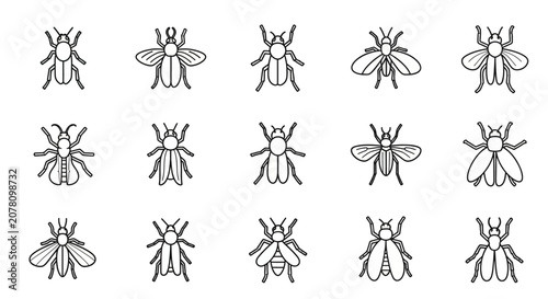 Insects Flies Bugs Black Line Drawings