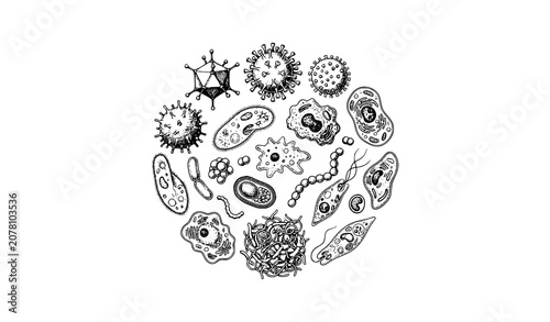 Foto Vintage Medical Sketch of Viruses Bacteria Microbes Cancer Cells and Organic Bio