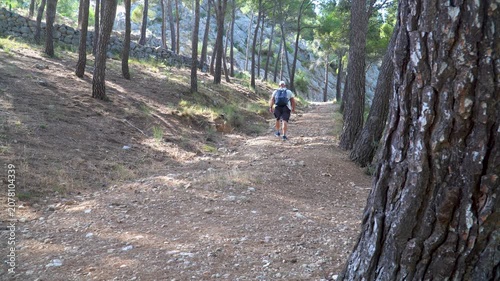 Back view of a man walking in the forest at summer sunset..