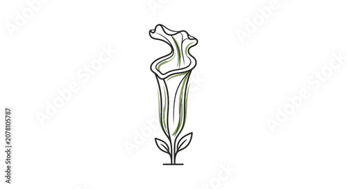 Foto Carnivorous Pitcher Plant Line Drawing, Botanical Illustration, Nature Icon