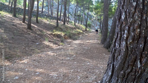 man walking in a forest at summer sunset..