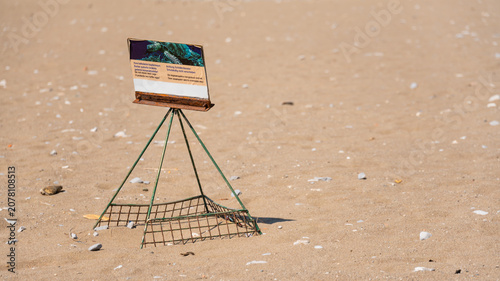 Cuadro en lienzo Close Up of Turtle's Nest Protection Cages on a Sandy Iztuzu Beach