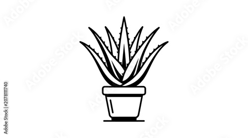 Minimalist black and white line art illustration of an aloe vera plant in a pot.