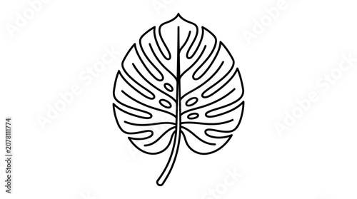A simple black and white line art illustration of a tropical monstera leaf.