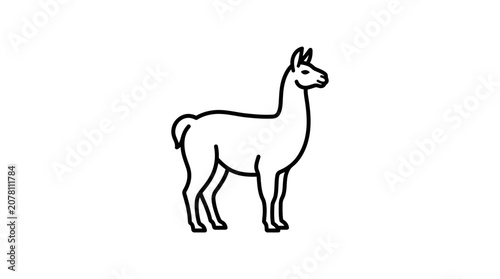 Minimalist line art illustration of a standing llama.
