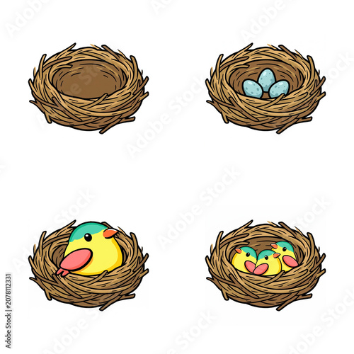 Cartoon nests with eggs and baby birds in various stages  