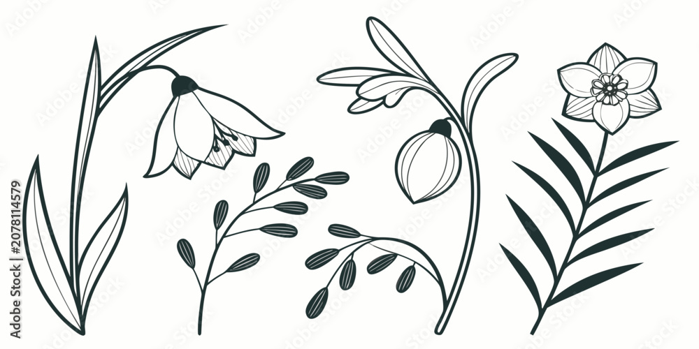 Fototapeta premium Black and white illustration of various flowers and leaves